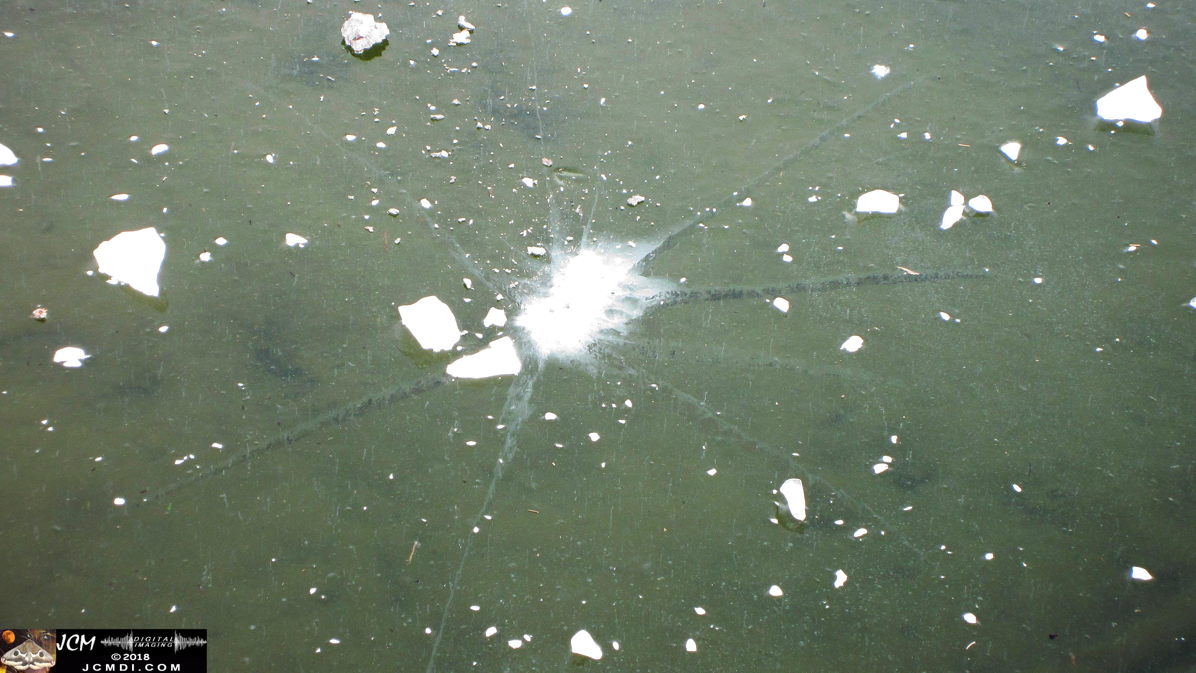 Cracked ice where a large rock was thrown onto Frozen Lake in Tennessee